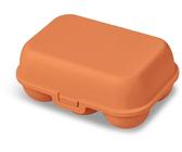FUNSUEI 100x Transparente Eierkartons 12er – PVC, 19,3x14,6x6,2 Cm, Stapelbar, Mit Clipverschluss