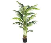 Kentia Palme 160 cm | Preisvergleich bei idealo.de