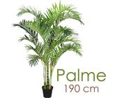 Palme Knstlich | Preisvergleich bei idealo.de