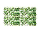 glücksfeder stützen Glücksfeder kaufen | Zamioculcas main image 1