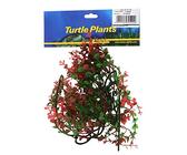 tundra tornado plant Sedum Makinoi 'Tornado'  The Archway Planter