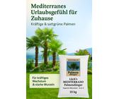 Mediterrano Palmendnger | Preisvergleich bei idealo.de