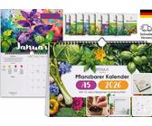 orchidee weier flaum Kolibri-Orchideen | weie Phalaenopsis-Orchidee - Lausanne