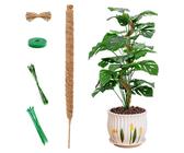 Moosstbe fr Monstera | Preisvergleich bei idealo.de
