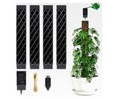 monstera deliciosa prix Philodendron Monstera deliciosa, feuillage facile