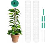 Moosstbe fr Monstera | Preisvergleich bei idealo.de