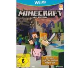 Wii Minecraft 