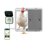 Okkobi Automatische Hühnerklappe Solar – Mit LCD, Fernbedienung, Lichtsensor & Einklemmschutz, Roségold