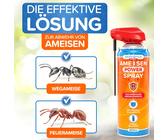 SILBERKRAFT Anti Ameisen Spray 500 ml - Shop Apotheke