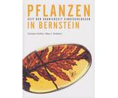 Bernsteinsure Pflanzen | Preisvergleich bei idealo.de