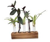 50 Blumenröhrchen Aus Kunststoff – Hängbare Reagenzglas-Vasen Mit Deckel, 11x2,4 Cm, Für Orchideen & Stecklinge