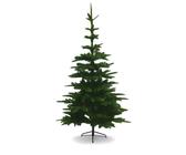 Weihnachtsbaum Edeltanne (2026) zum Bestpreis | idealo.de