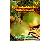 puffbohnen saatgut Erfurter Puffbohne im Sckchen  Erfurt MITTE