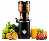 Anybear Entsafter 200W Slow Juicer 110MM
