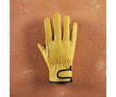 gedicht der handschuh von friedrich schiller Handschuh. Poesie für Kinder : Schiller, Jacky Gleich Bücher BinderPOS Can-Am X3 Transmission -20% Reduction Gear Set:Include Transmission Tear-Down/Re-Build Nike Diamond Elite Catcher's