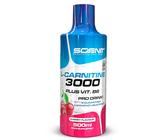L'Carnitina 3000 en idealo.es