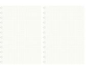 Recharge Filofax A4 – 60 Feuilles Assorties Lignées, Carreaux & Blanches – Idéal Organiseur Clipbook