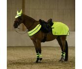 Aces Equine Harnais Nylon Pour Cheval De Trait - Noir/Jaune Avec Rembourrage Confort Harnais Cheval Chariot