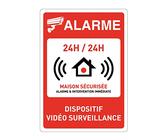 2 pz | Cartello Videosorveglianza Omologato | Zona Videosorveglianza | Formato A4 (30 x 21 cm) | Materiale PVC 0,7 mm | Cartello Telecamera Sorveglianza per esterni e interni
