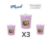 Pajoma ® Scented Candle, Vanilla & Cinnamon - in Satin Glass 120g Wa